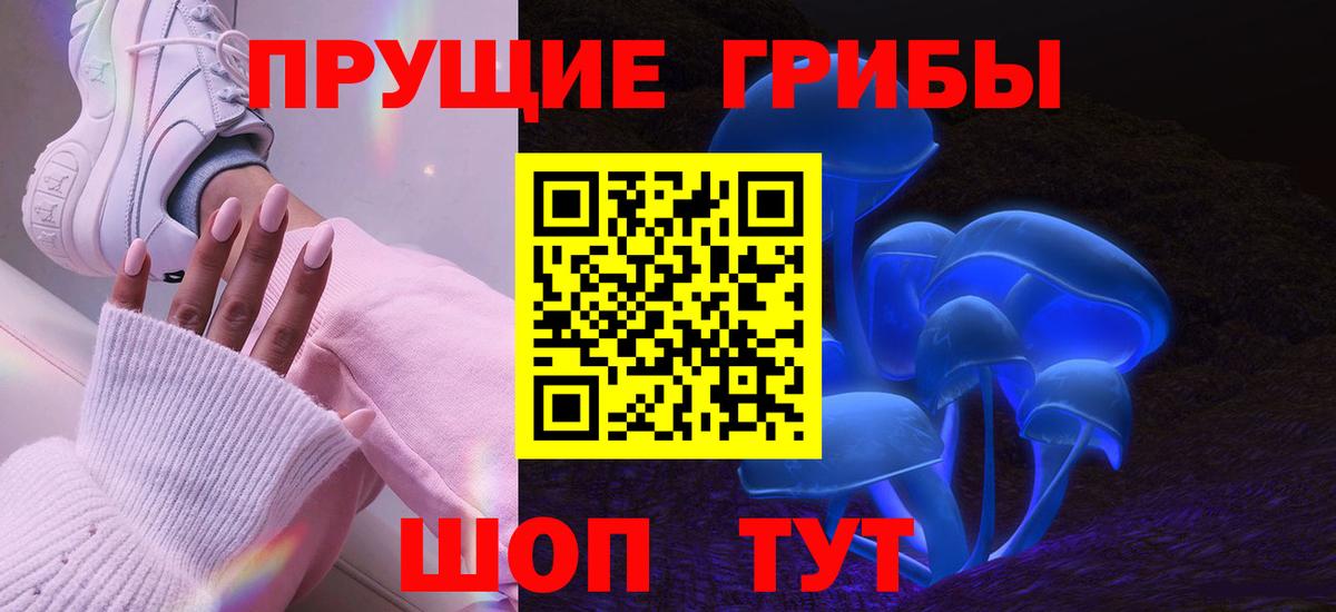 магазин продажи наркотиков  Галлюциногенные грибы Cubensis  Псилоцибиновые грибы GOLDEN TEACHER  Вход с VPN  Всеволожск 
